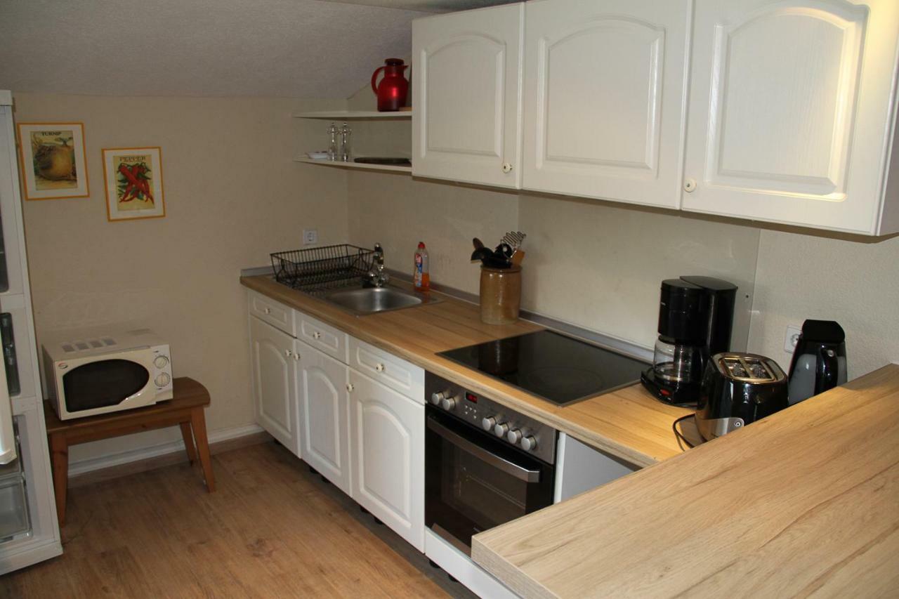 Apartment Schwemmer Pirna