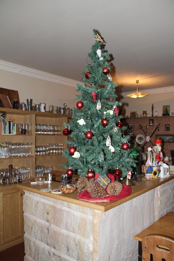 Schwemmer Pirna